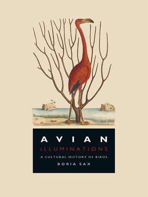 cover image of Avian Illuminations